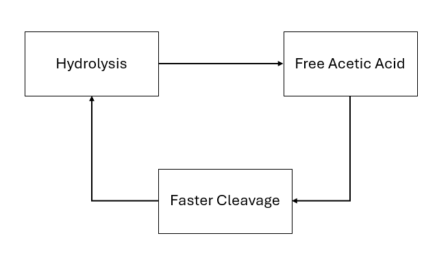 Hydrolysis autocatalysis loop